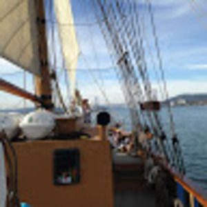 Meet your Posher, Molly